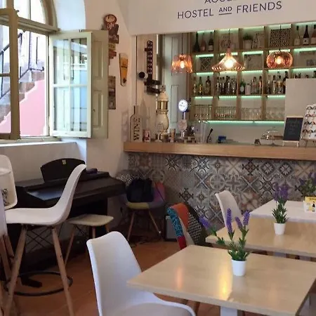 Hostel & Friends