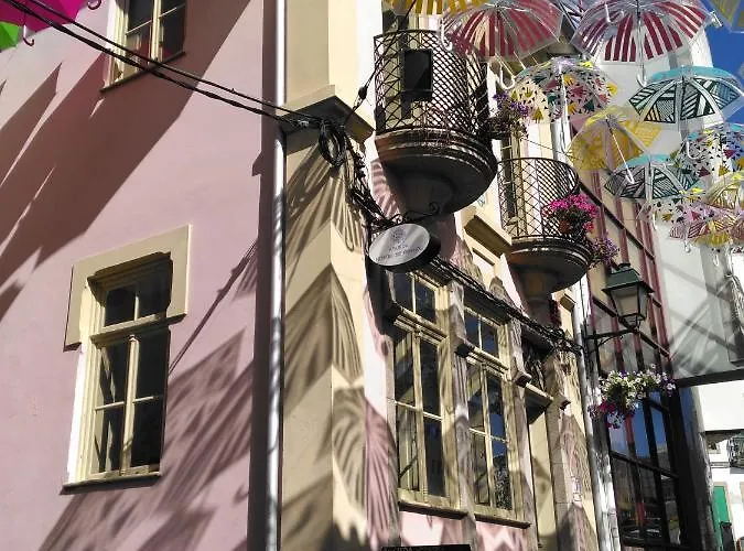 & Friends ホステル